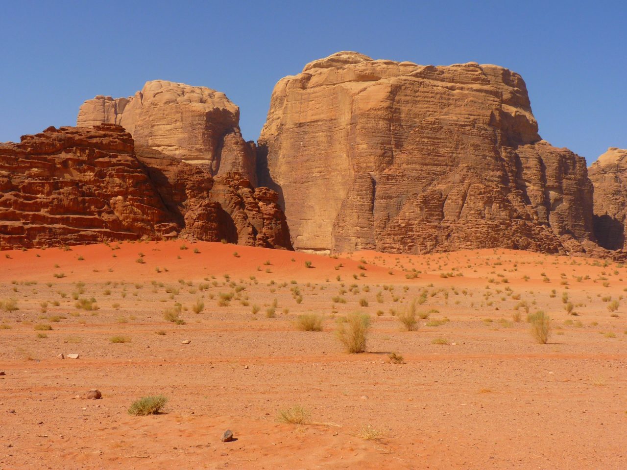 israele deserto negev