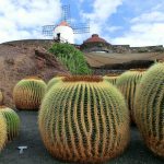 last minute lanzarote