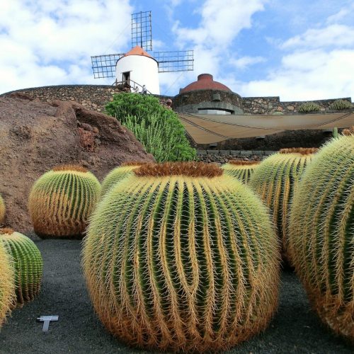 Offerta Isole Canarie – Lanzarote – da Gennaio ad Aprile 2025