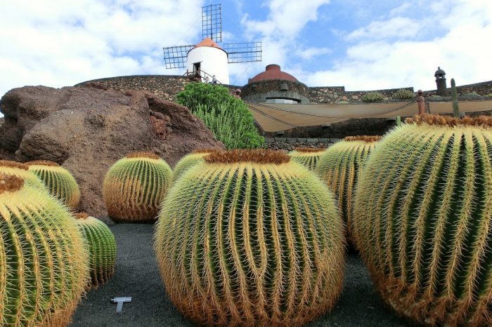 Offerta Isole Canarie – Lanzarote – da Gennaio ad Aprile 2025