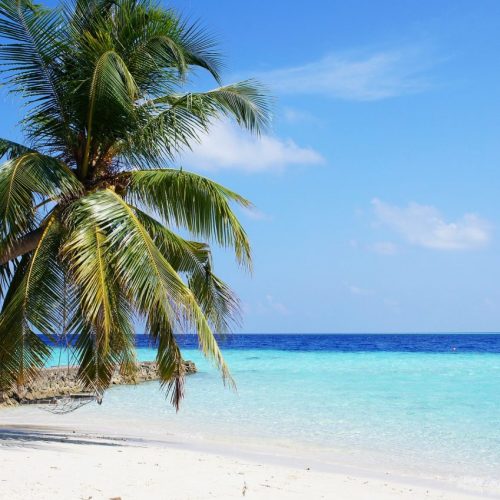Maldive – Guest house – Vaali Beach Lodge – Isola di Felidhoo – da gennaio ad ottobre 2025