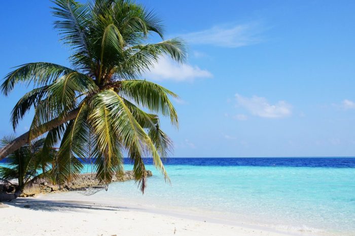Maldive – Guest house – Vaali Beach Lodge – Isola di Felidhoo