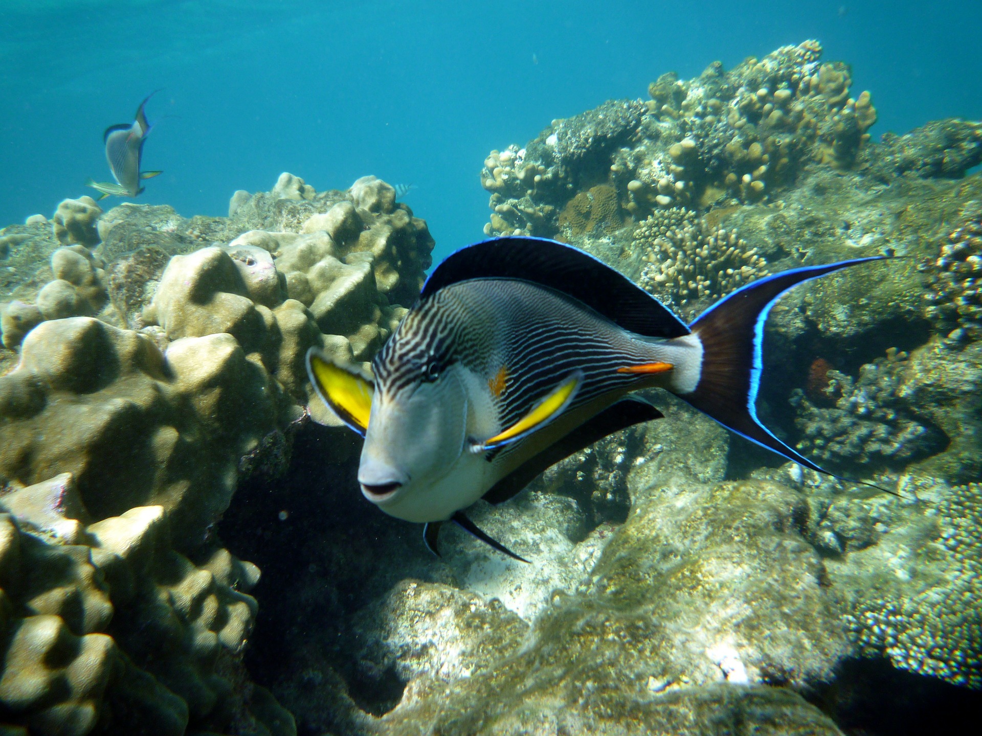 LAST MINUTE MARSA ALAM