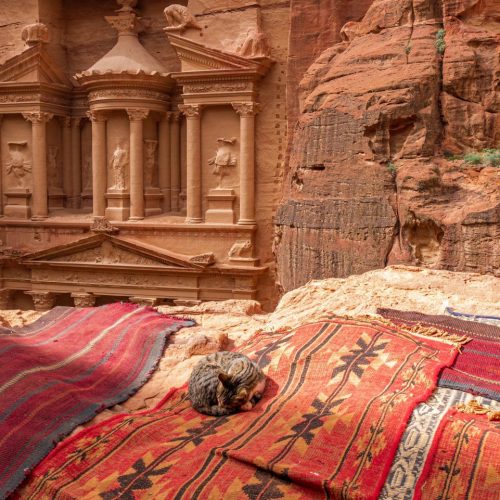 Tour Giordania 8 giorni – Tour della Giordania ed il Magico Deserto da Amman – Partenza ogni venerdì e domenica