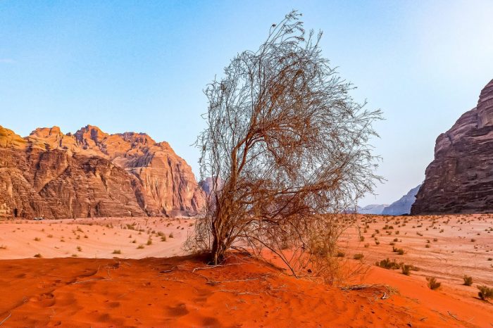 Cosa vedere in Giordania – GUIDA VIAGGI DELLA GIORDANIA