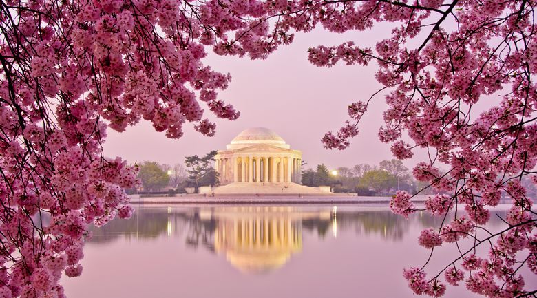 Tour organizzato Stati Uniti – Da Washington a New York