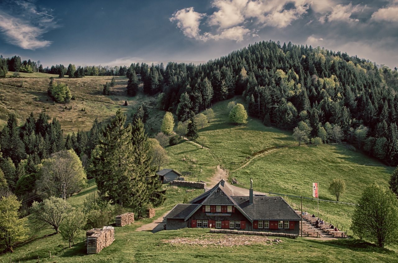 Germania Foresta Nera