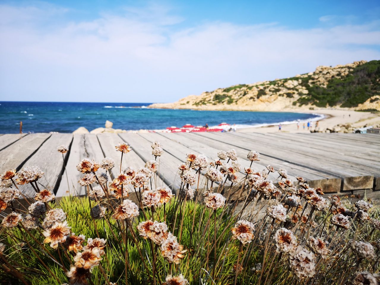 spiaggia gallura beach