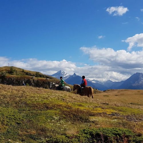 Trekkinando:Trekking a cavallo Valle d’Aosta : La via del latte