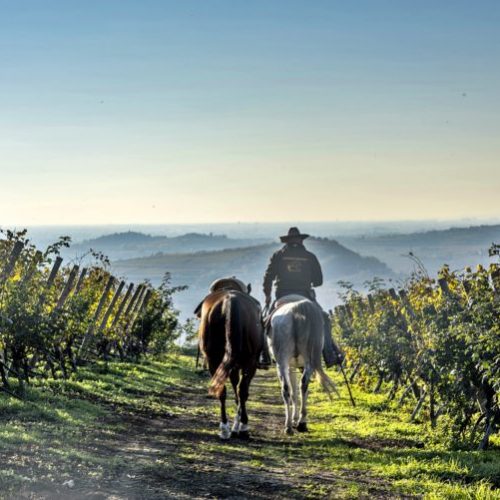 Cavalcando: Veneto il trekking dei vini
