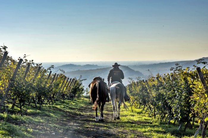 Cavalcando: Veneto il trekking dei vini