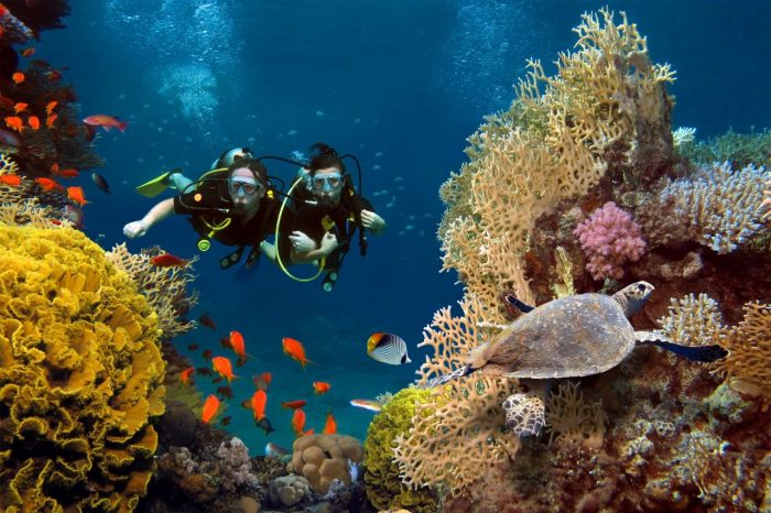 Scubando: Viaggio a Malta alla scoperta dell’isola tra terra e mare