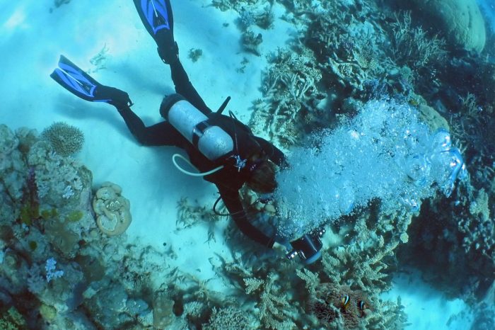 Scubando: Viaggio sub Giappone – Okinawa: paesaggi sottomarini