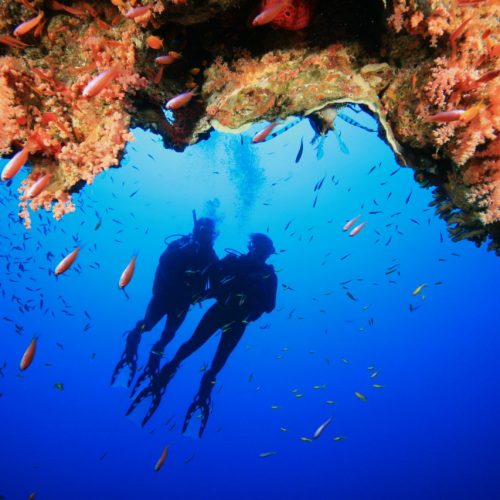 Scubando: Viaggio Sub all’Isola d’Elba: Immersioni nell’Arcipelago Toscano