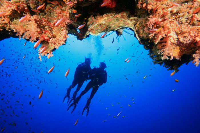 Scubando: Viaggio Sub all’Isola d’Elba: Immersioni nell’Arcipelago Toscano