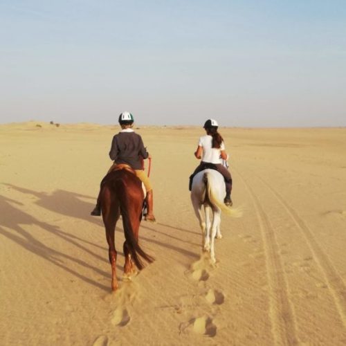 Cavalcando: IL GRANDE DESERTO DELL’OMAN MASCATE