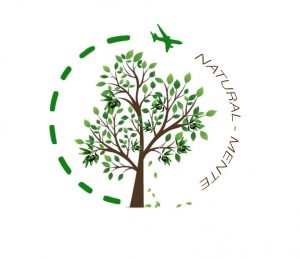 natural-mente logo 