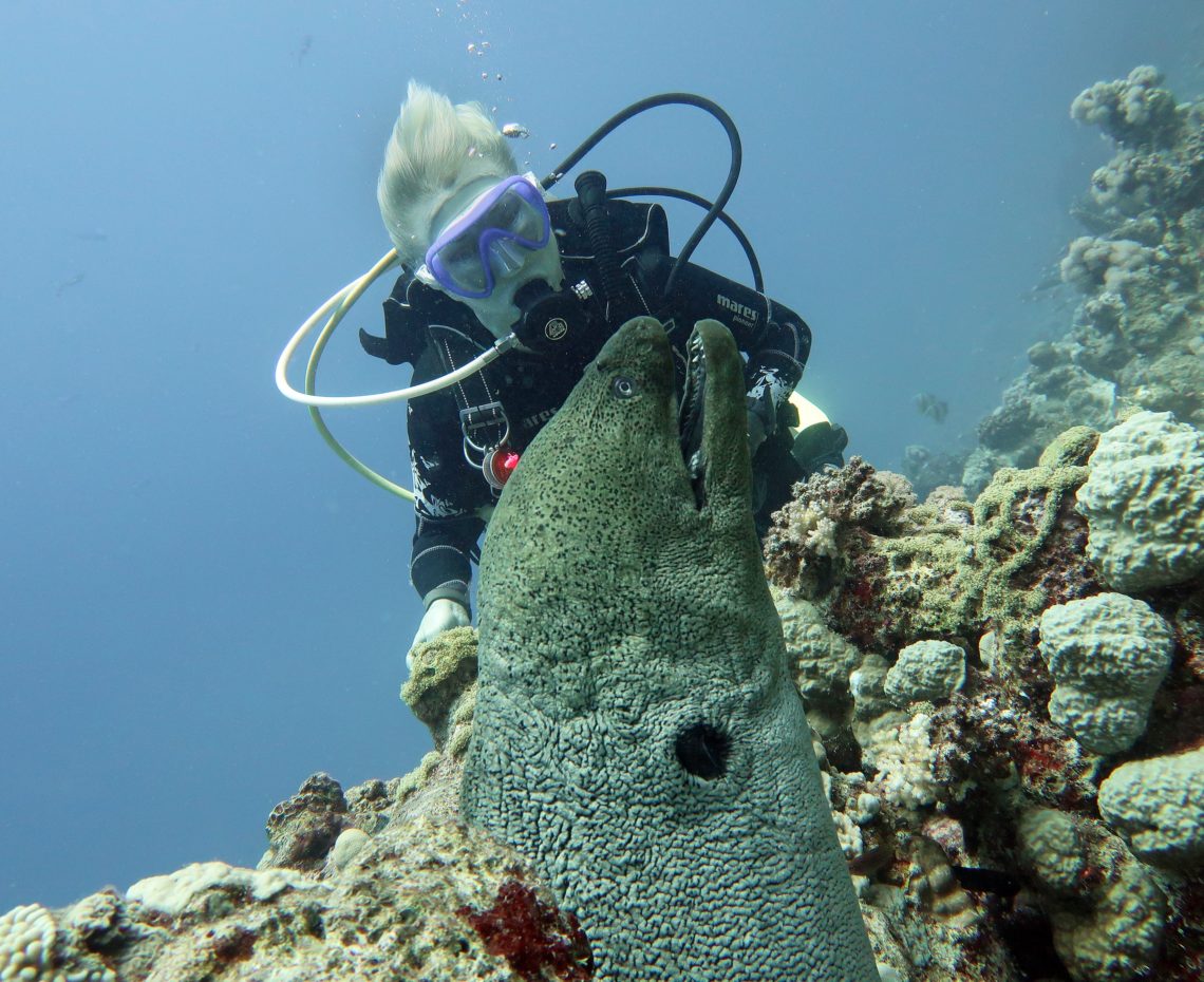 ISOLA D'ELBA-IMMERSIONI 2021