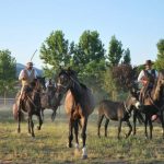 MAREMMA-TREKKING A CAVALLO-TOSCANA