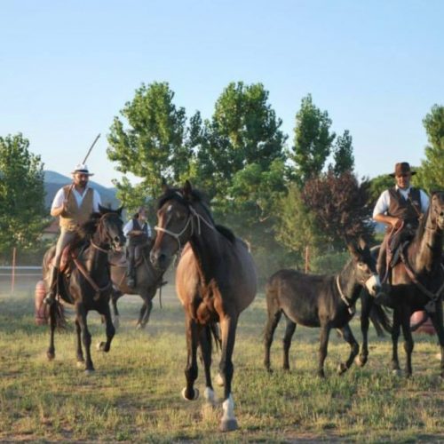 Cavalcando: TOSCANA: ASSAGGIO DI MAREMMA