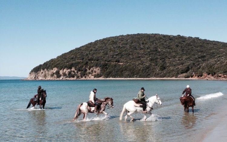 TOSCANA-TREKKING A CAVALLO