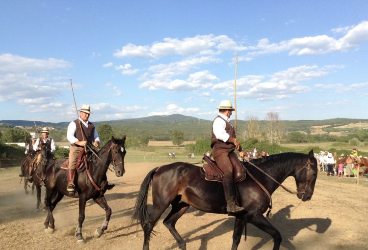 trekking a cavallo in toscana