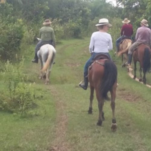 Cavalcando: LA RISERVA NATURALE DI ORINOQUIA