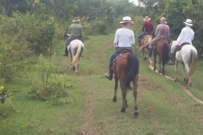 Cavalcando: LA RISERVA NATURALE DI ORINOQUIA