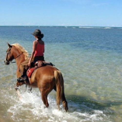 Cavalcando: BAHIA: LE SPIAGGIE DI SALVADOR DE BAHIA