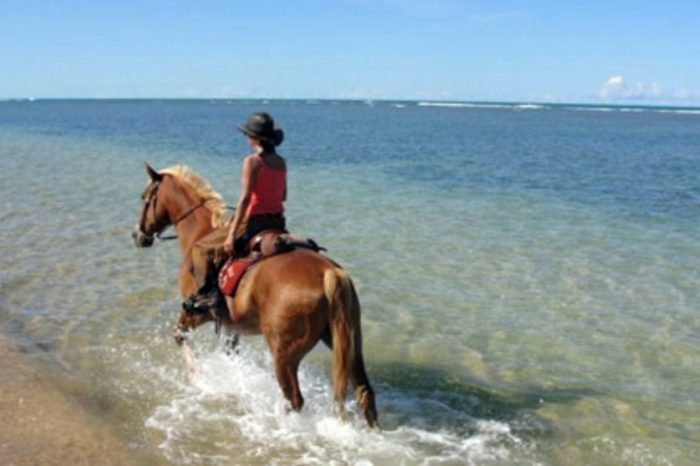 Cavalcando: BAHIA: LE SPIAGGIE DI SALVADOR DE BAHIA