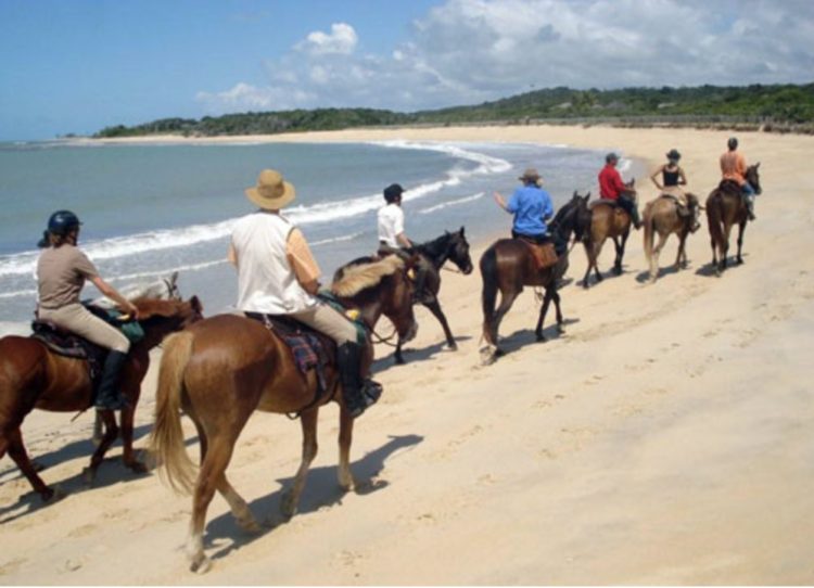 passeggiate a cavallo brasile