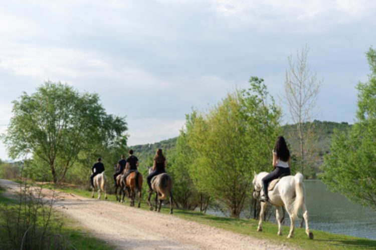 TREKKING A CAVALLO IN DALMAZIA 