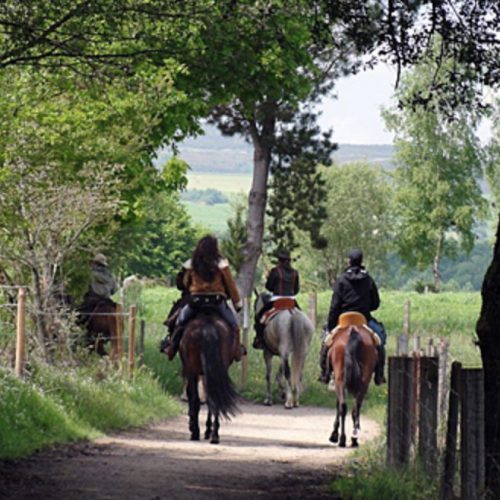 Cavalcando: Il Cammino di Santiago in Sella