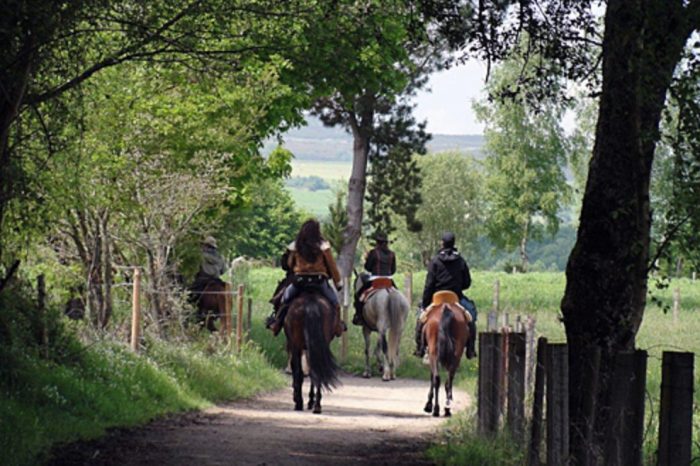 Cavalcando: Il Cammino di Santiago in Sella