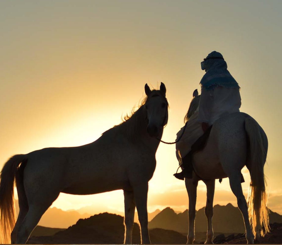 deserto orientale egitto a cavallo