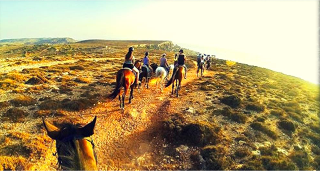 Cavalcando: MALTA, ISOLA DEL MIELE