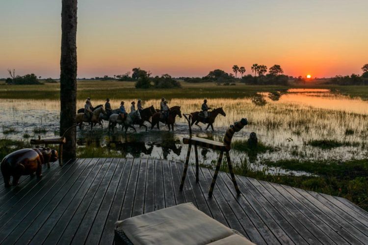 botswana safari 