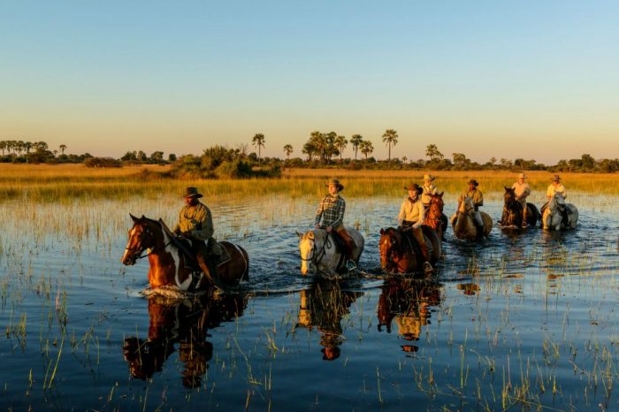 Cavalcando: IL MEGLIO DEL BOTSWANA: VALLE DEL LIMPOPO & DELTA DELL’OKAVANGO