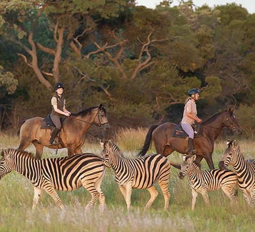 SUDAFRICA SEMPLICE – Self Drive 5 notti