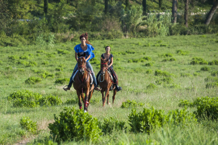 MARCHE TREKKING A CAVALLO 