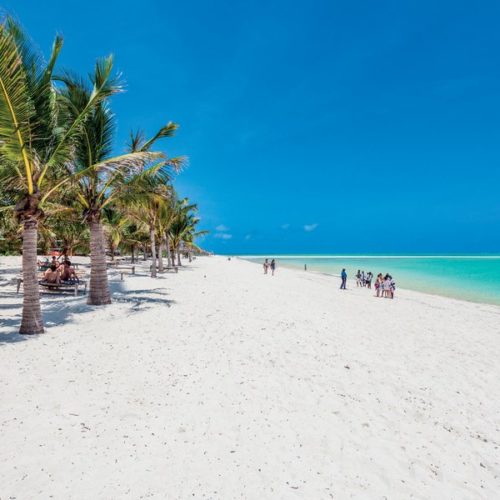 Offerte Capodanno Kenya 2025 – Soggiorno mare Lion Beach Resort 4*