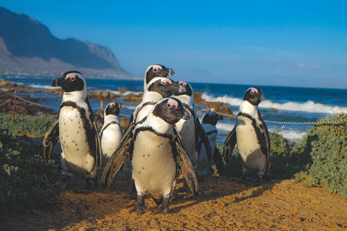 SUDAFRICA – TERRA DA ESPLORARE: TOUR GARDEN ROUTE