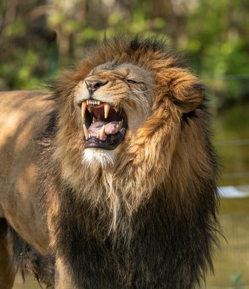 OFFERTA VIAGGIO TOUR SUDAFRICA 