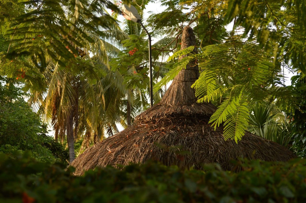 MAURITIUS-natura