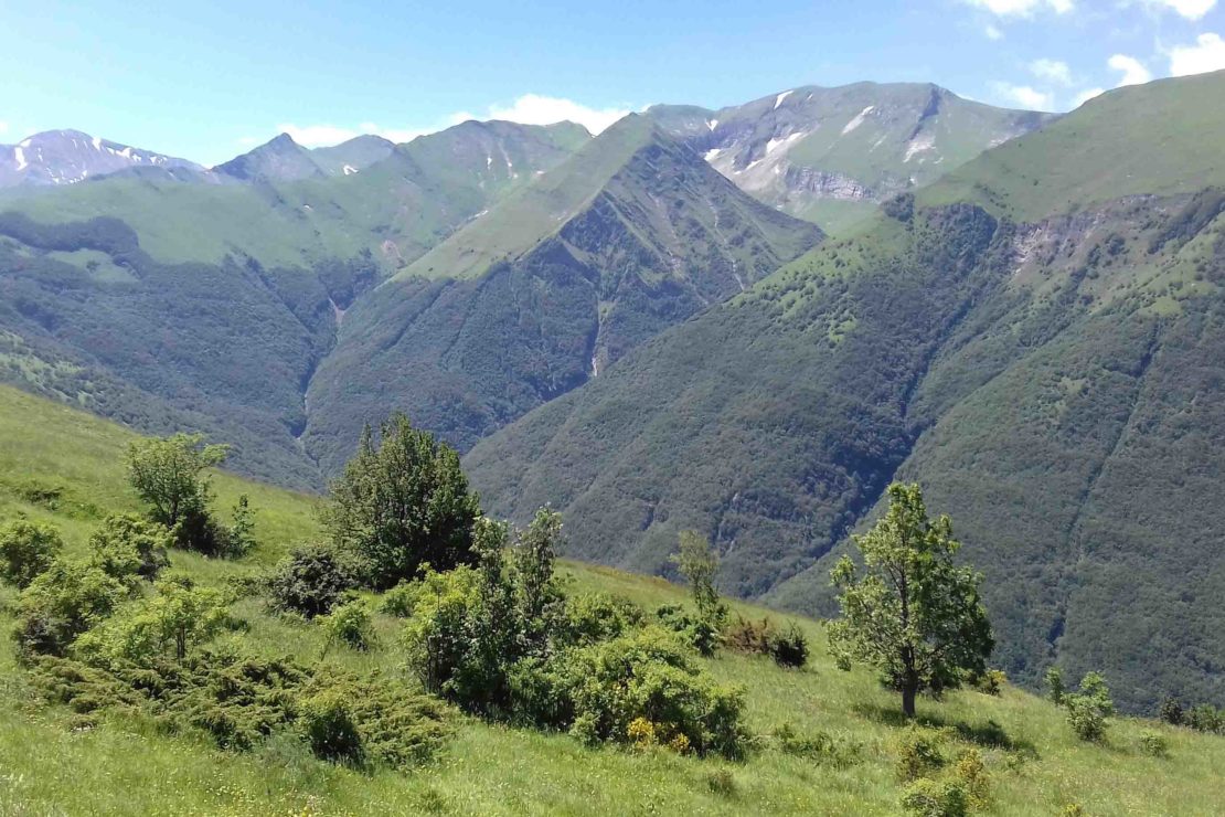 MARCHE TREKKING PAESAGGIO 