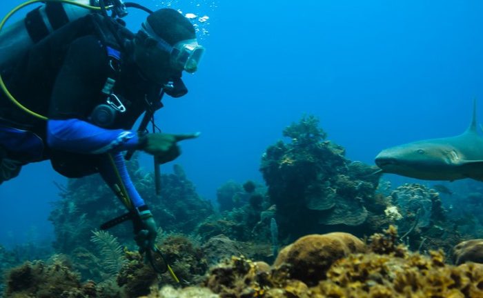 Scubando: Nicaragua: immersioni nel Mar dei Caraibi