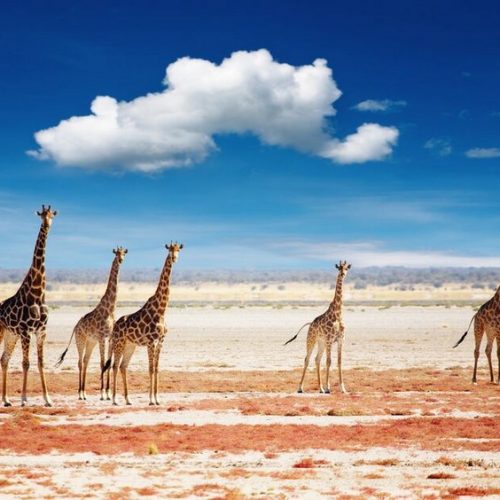 Viaggi in Namibia: Tour Meravigliosa Namibia 2025– Partenze Garantite