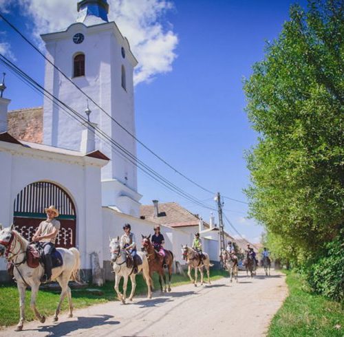 Cavalcando: La Transilvania Romania di Bram Stoker 2021