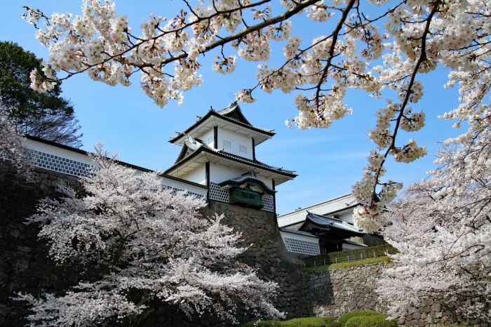 Viaggiare in Giappone – Easy Japan Tour Speciale fioritura