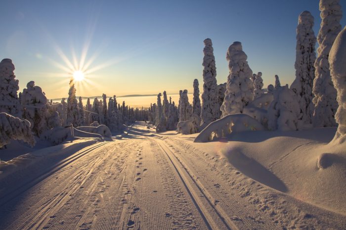 Offerte Capodanno in Lapponia  2025 – CHARMING LAPLAND ADULTS ONLY · Il Lodge nella foresta artica, Lapponia Svedese · Partenza 28 dicembre